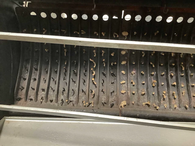 Kippengrill decoratief - afbeelding 4 van  5