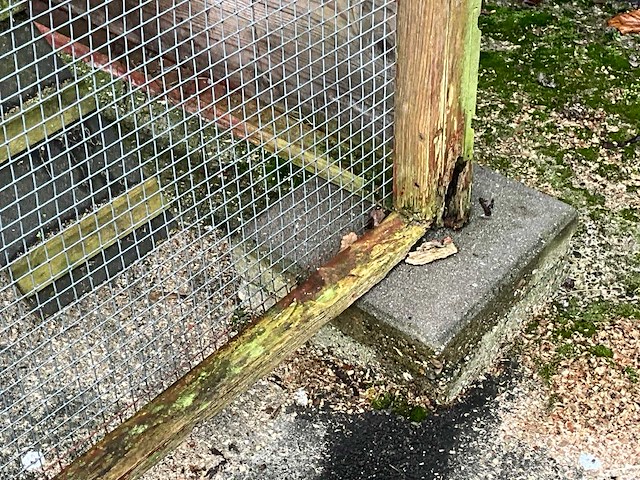 Kippenhok - afbeelding 4 van  10