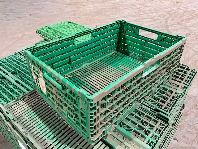 Klapkrat (63x) - afbeelding 1 van  6