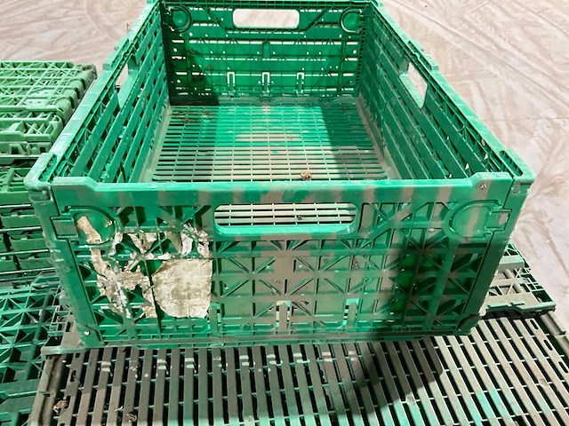 Klapkrat (63x) - afbeelding 2 van  6