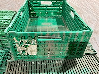 Klapkrat (63x) - afbeelding 2 van  6