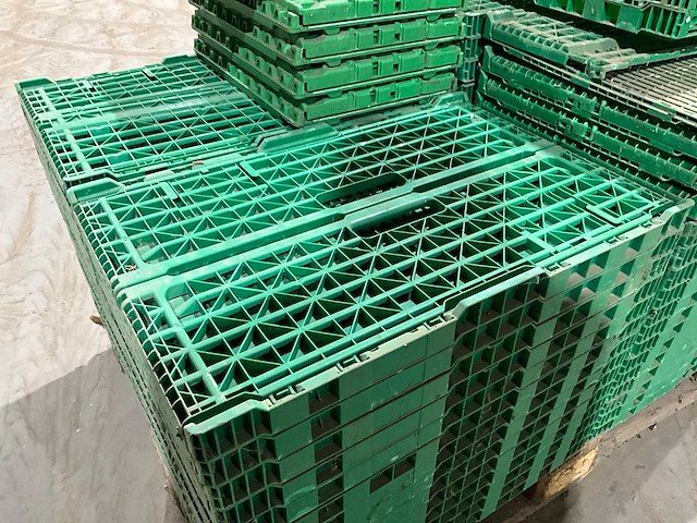 Klapkrat (63x) - afbeelding 3 van  6