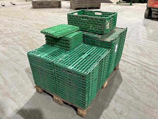 Klapkrat (63x) - afbeelding 5 van  6