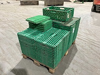 Klapkrat (63x) - afbeelding 5 van  6