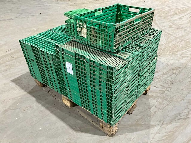 Klapkrat (63x) - afbeelding 6 van  6