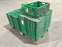 Klapkrat (63x) - afbeelding 6 van  6