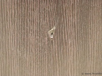 Kledingkast - 200x60x240cm - afbeelding 6 van  8