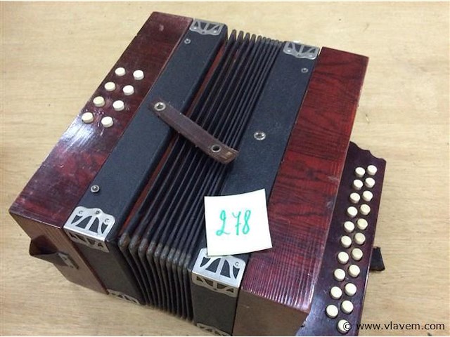 Kleine accordion - afbeelding 1 van  4