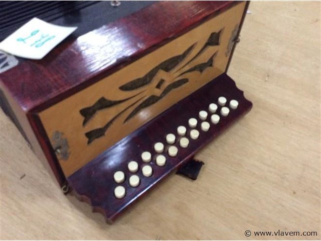 Kleine accordion - afbeelding 2 van  4