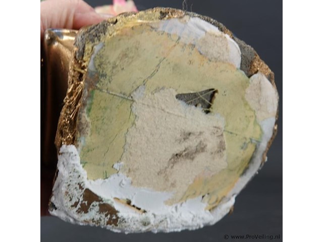 Kleine boom met bloem - afbeelding 5 van  5