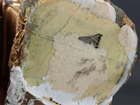 Kleine boom met bloem - afbeelding 5 van  5