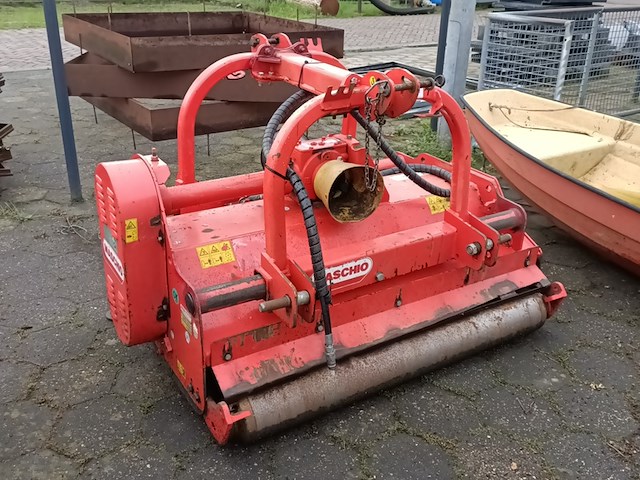 Klepelmaaier, maschio, bella 135, 2015 - afbeelding 1 van  8