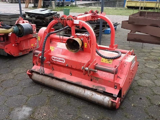 Klepelmaaier, maschio, bella 135, 2015 - afbeelding 2 van  8