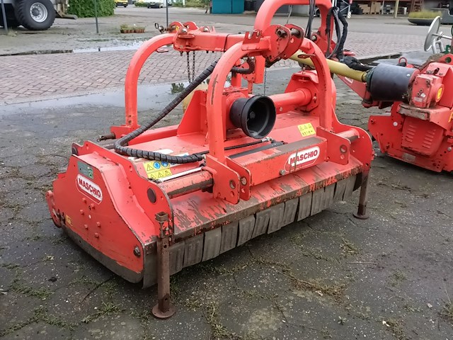 Klepelmaaier, maschio, bella 135, 2015 - afbeelding 3 van  8