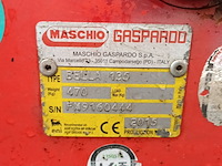 Klepelmaaier, maschio, bella 135, 2015 - afbeelding 7 van  8