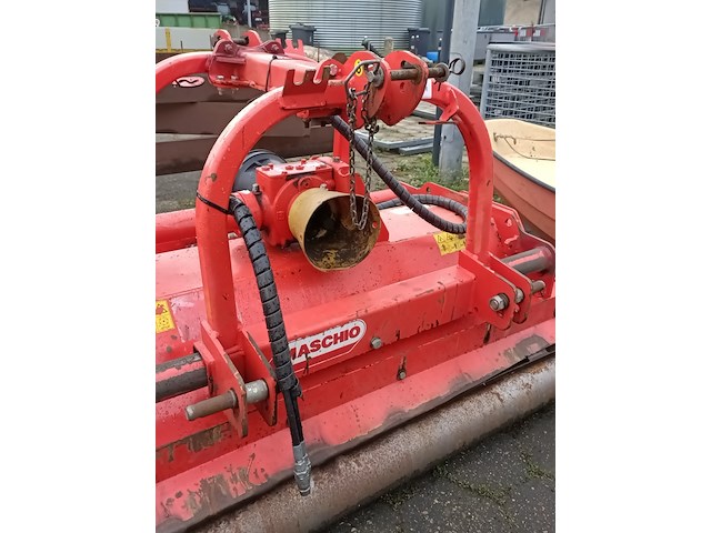 Klepelmaaier, maschio, bella 135, 2015 - afbeelding 8 van  8
