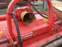 Klepelmaaier, maschio, bella 135, 2015 - afbeelding 8 van  8