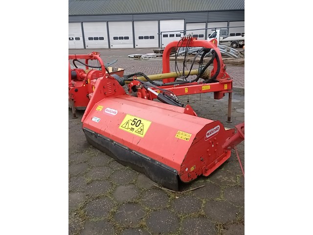 Klepelmaaier, maschio, giraffa 160, 2015 - afbeelding 4 van  7