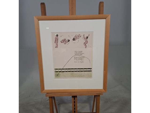 Kleurenets, h. v.d. deen, trampoline 1/15, 1977 - afbeelding 1 van  9