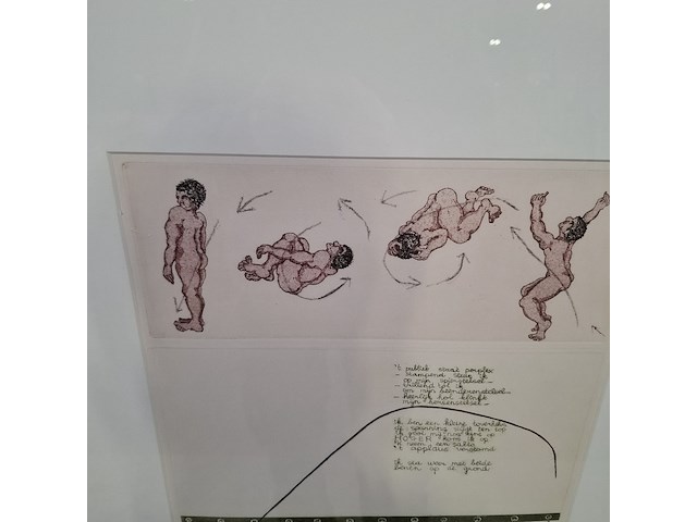 Kleurenets, h. v.d. deen, trampoline 1/15, 1977 - afbeelding 4 van  9