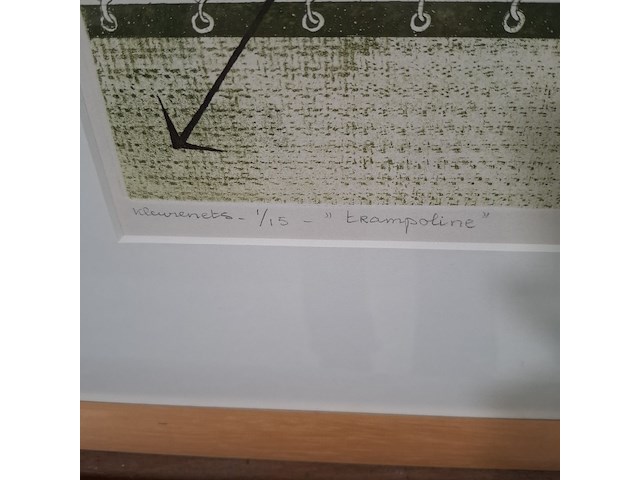 Kleurenets, h. v.d. deen, trampoline 1/15, 1977 - afbeelding 6 van  9