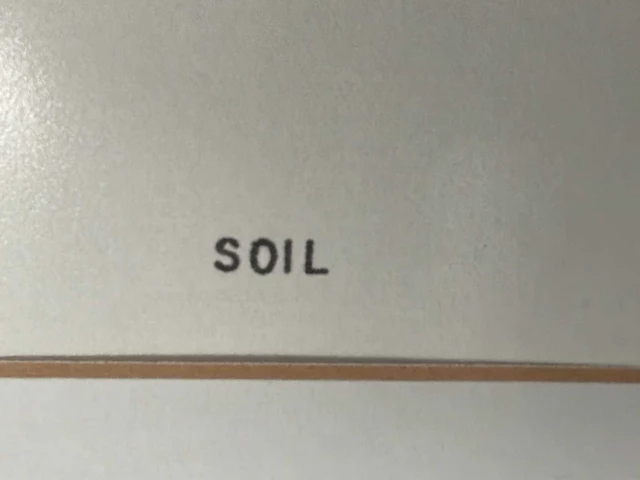 Kleurenzeefdruk “bert vredegoor- soil” - afbeelding 7 van  9