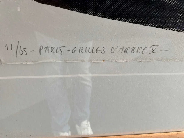 Kleurenzeefdruk “jelis van dolderen- paris grilles d’arbres v” - afbeelding 4 van  7