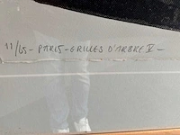Kleurenzeefdruk “jelis van dolderen- paris grilles d’arbres v” - afbeelding 4 van  7
