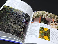 Klimplanten - afbeelding 4 van  5