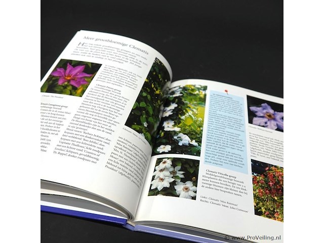 Klimplanten - afbeelding 5 van  5