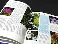 Klimplanten - afbeelding 5 van  5
