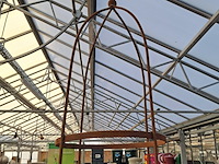 Klimplantenrek campo - afbeelding 2 van  7