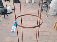 Klimplantenrek campo - afbeelding 3 van  7