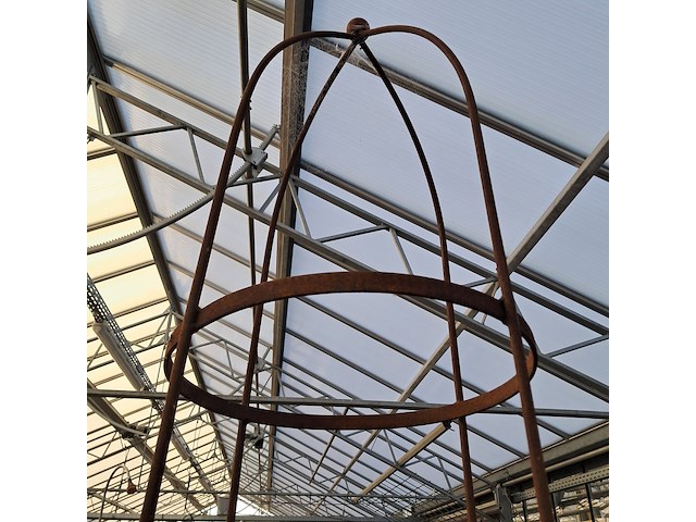 Klimplantenrek campo - afbeelding 7 van  7