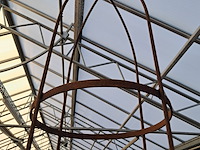 Klimplantenrek campo - afbeelding 7 van  7