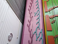 Klimwand, bush - afbeelding 2 van  7