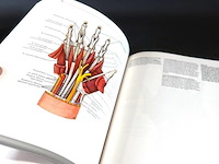 Klinische anatomie - afbeelding 4 van  5