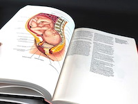 Klinische anatomie - afbeelding 5 van  5