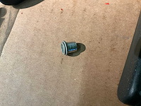 Klinkmoertang - afbeelding 3 van  3