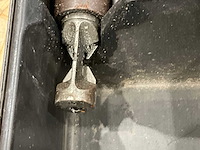 Knabbelschaar (6x) - afbeelding 5 van  8