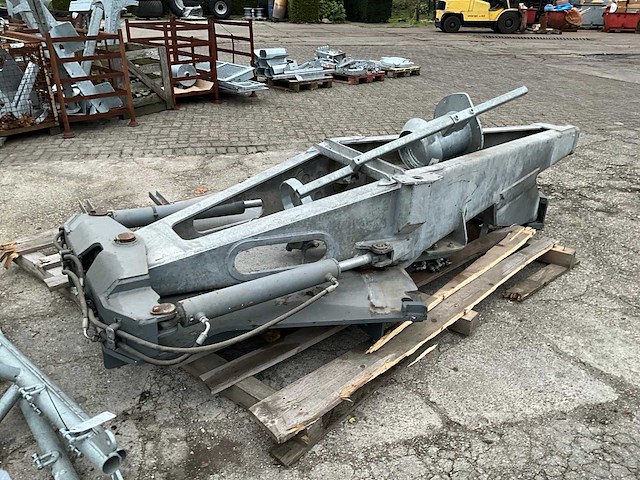 Knikdissel - afbeelding 3 van  6