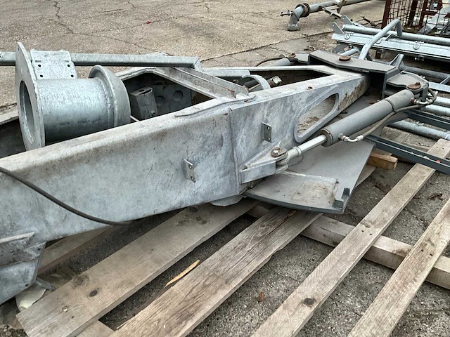 Knikdissel - afbeelding 5 van  6