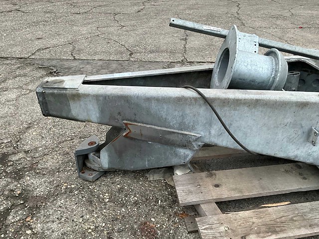 Knikdissel - afbeelding 6 van  6