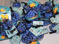 Knikkers mickey blauw 10 zakejes in ds i - afbeelding 1 van  5