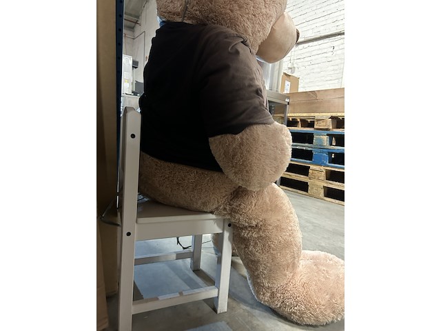 Knuffel en stoel - afbeelding 5 van  5