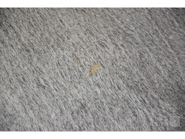 Koeienhuid - afbeelding 2 van  4