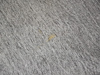 Koeienhuid - afbeelding 2 van  4