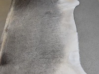 Koeienhuid - afbeelding 3 van  4