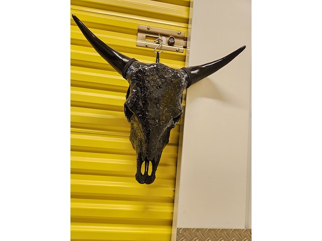 Koeienschedel decoratief, glaswerk, zwart - afbeelding 1 van  4