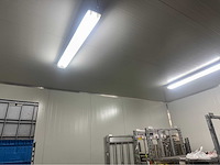 Koelcel (8,25x6,25 mtr) (52 m2) - afbeelding 22 van  25